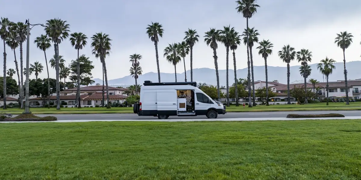 White van beside a sunny palm-lined road